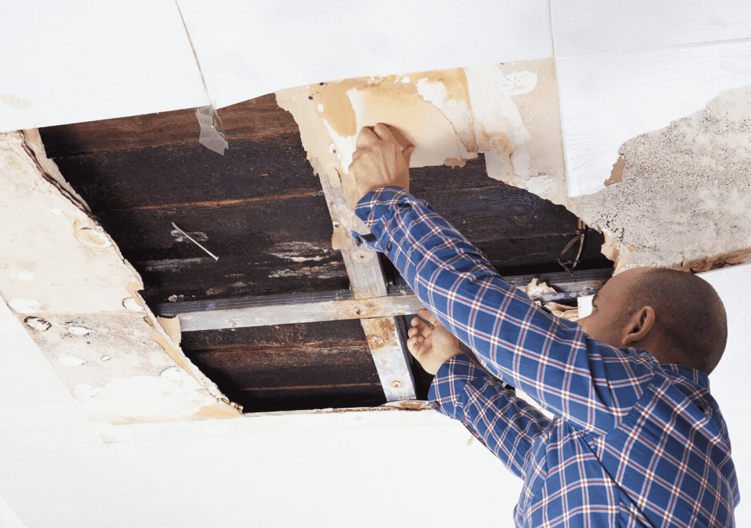 drywall ceiling repair